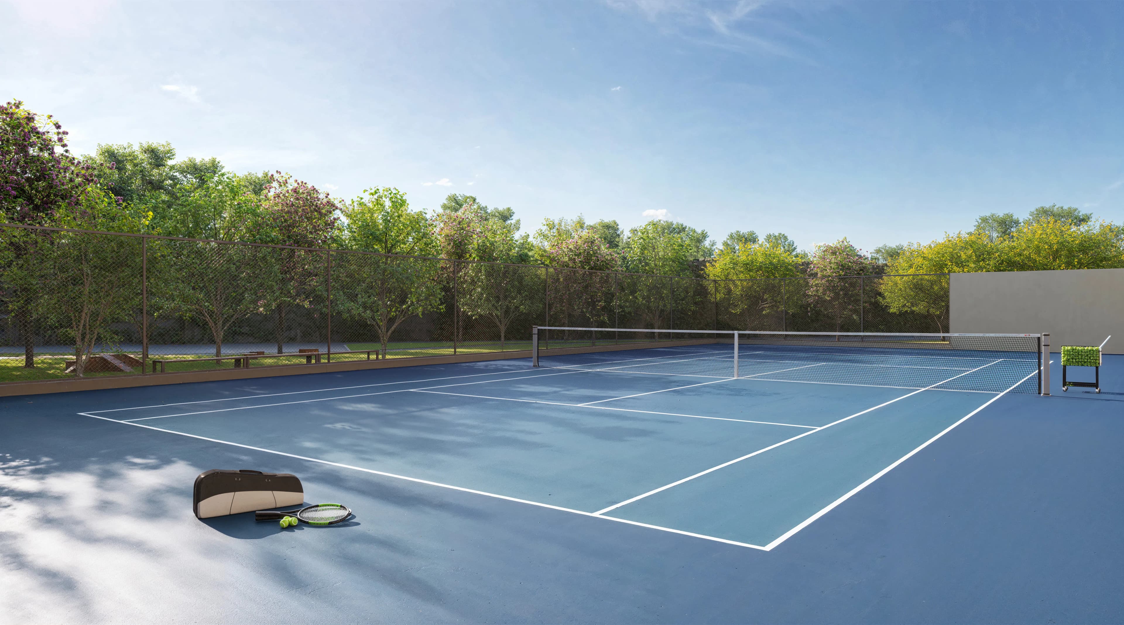 Galeria de Imagens 5